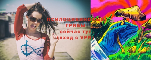тгк Пролетарск